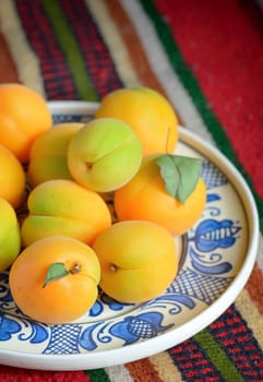 Ripe apricots fruits on rustic plate