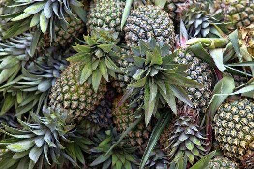 A bunch of fresh pineapple on the store counter