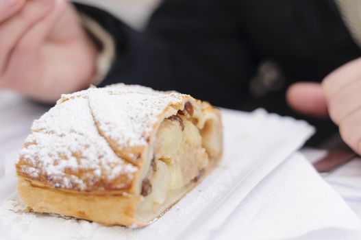 Slice of apple strudel with powdered sugar, typical from Austria and South Tyrol