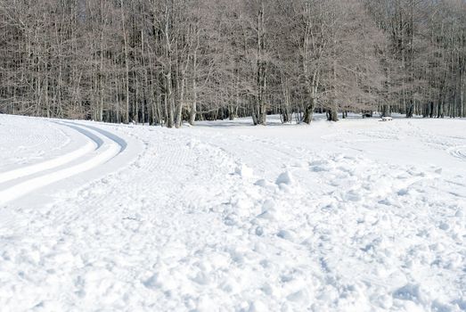 snowy landmark with snowmobile tracks and trees in a sunny winter day