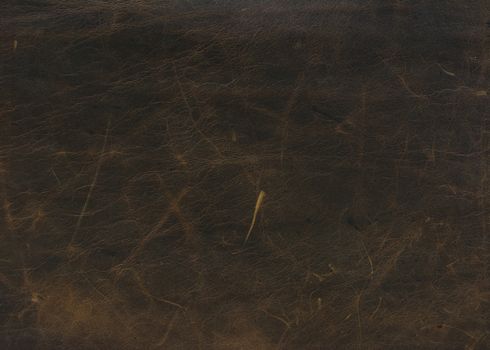  brown leather texture background 