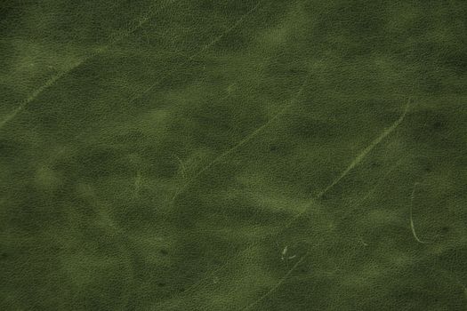 green leather texture background 