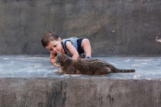 Dear little laughing boy and a cat on a wall.