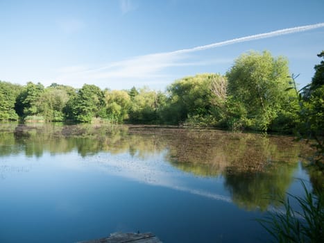 beautiful blue and clouded sky reflected in lake with trees and reeds no people