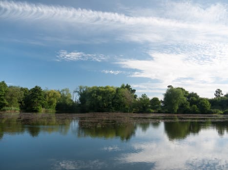 beautiful blue and clouded sky reflected in lake with trees and reeds no people