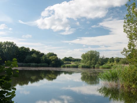 beautiful blue and clouded sky reflected in lake with trees and reeds no people