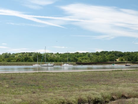 a river on a sunny day from the side with boats moored and moving on it