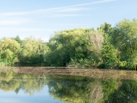beautiful blue and clouded sky reflected in lake with trees and reeds no people