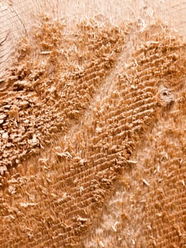 close up rough texture of a wooden post surface outside in light construction and building materials diy