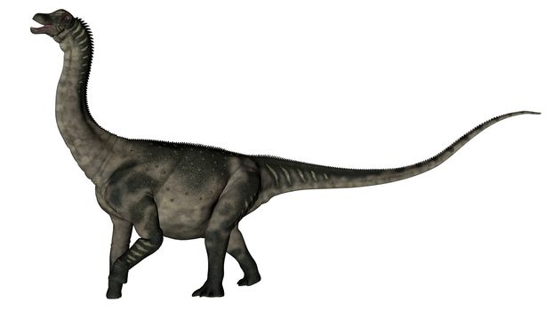 Antarctosaurus dinosaur roaring isolated in white background - 3D render