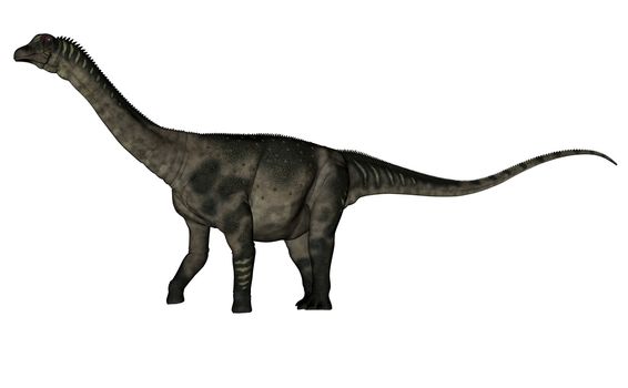 Antarctosaurus dinosaur walking isolated in white background - 3D render