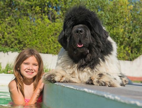 child and newfoundland dog in a swimming pool