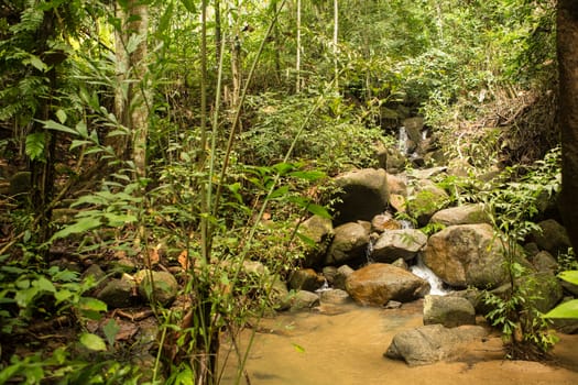 Fresh Waterfall from Mountain Spring,Thailand