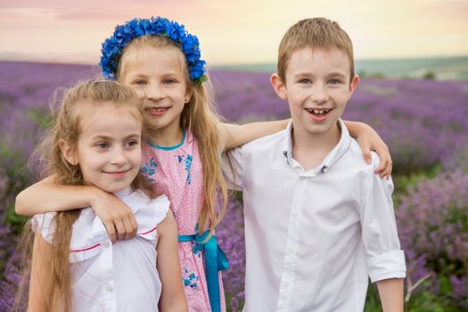 Three kids having fun among lavender field
