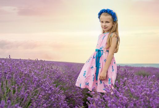 Girl among lavender fields at sunset