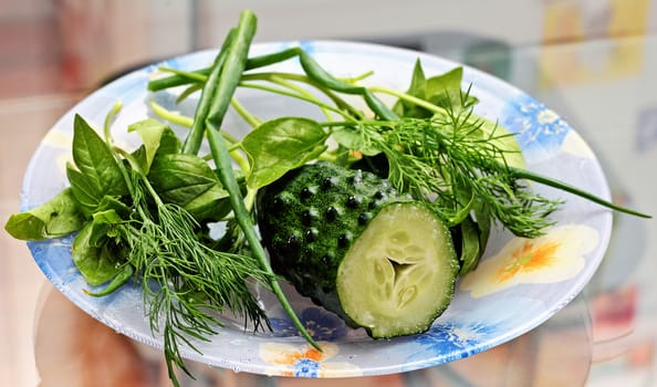 Vegetable ingredients cucumber, dill, spinach and onions, for salad preparation.