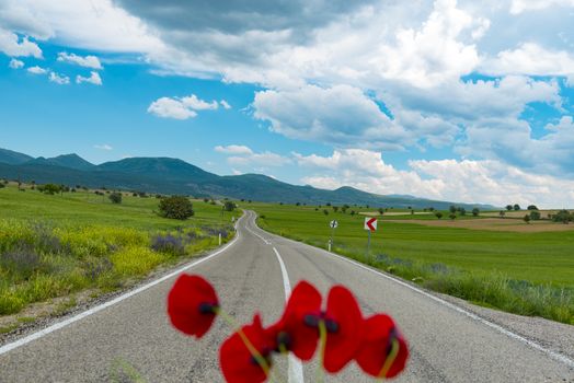 asphalt road,clouds, and nature view