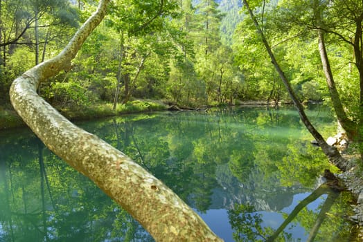 Ice-like natural canyon waters and reflections