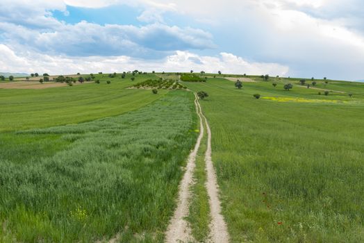 Long fine roads in agricultural land