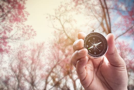 Compass in Hand on Beautiful Cherry Blossom in blue sky