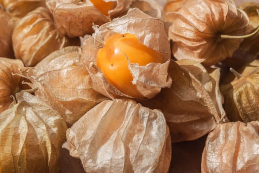 Cape gooseberry (Physalis) on wooden table, healthy fruit and vegetable