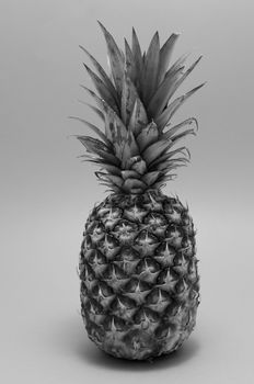 whole pineapple fruit in black and white