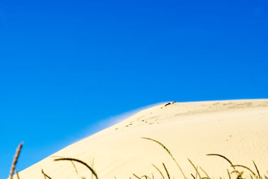 Sunlit sand dunes and wavy sea of rubjerg knude denmark
