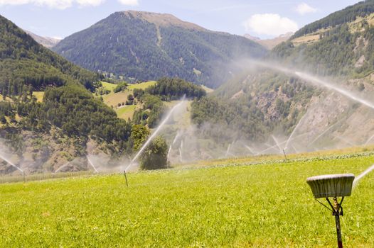 Automatic irrigation of crop fields in dolomites in Italy