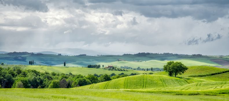 Farmland in Val d'Orcia Tuscany