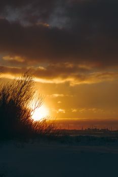 Hot yellow winter sunrise against the trees without leaves