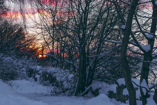 Colorful winter sunrise with purple and orange clouds