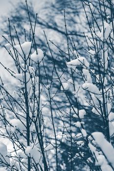 Cold winter snowy landscape at middle of the day. Monochrome