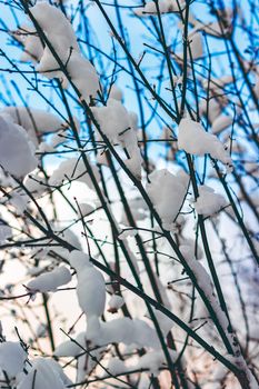 Cold winter snowy landscape at middle of the day