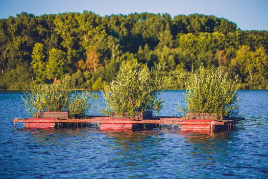 Bush with leaves in the middle of the blue lake.