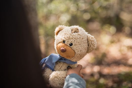 hand girl with teddy bear. friendship concept