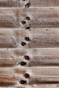 Natural wooden background with black knots. Wood in garden.