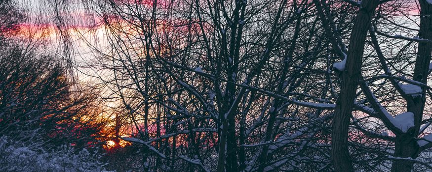Colorful winter sunrise with purple and orange clouds
