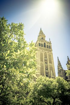 Sunshine over the Giralda bell tower of the cathedral in Seville, Spain, Europe