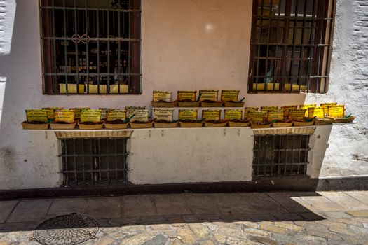 Spices and digestive pills on display in Seville, Spain, Europe