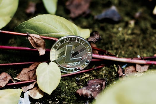 Digital currency physical silver litecoin coin in green nature area.
