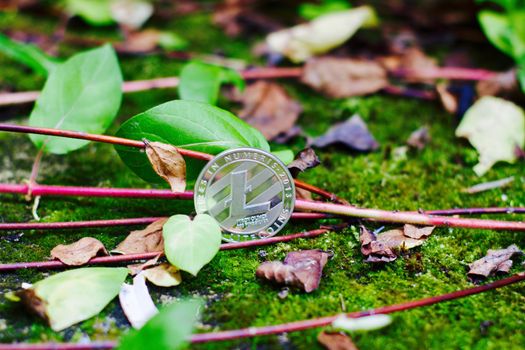 Digital currency physical silver litecoin coin in green natural place.