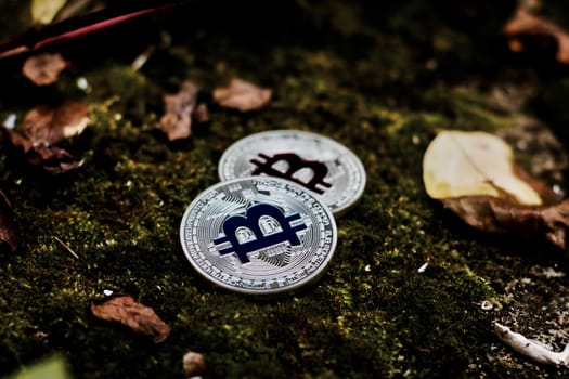Digital currency physical silver bitcoin coin on green grass in forest.