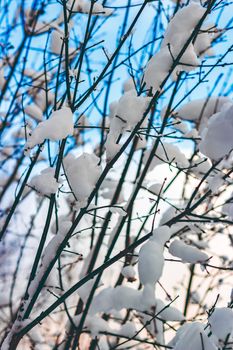 Cold winter snowy landscape at middle of the day