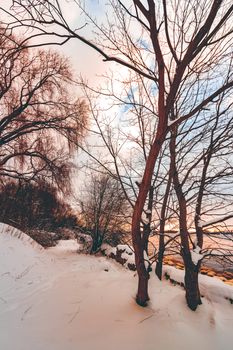 Cold winter snowy landscape at middle of the day