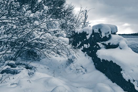 Cold winter snowy landscape at middle of the day. Monochrome