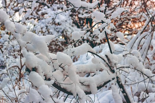 Cold winter snowy landscape at middle of the day