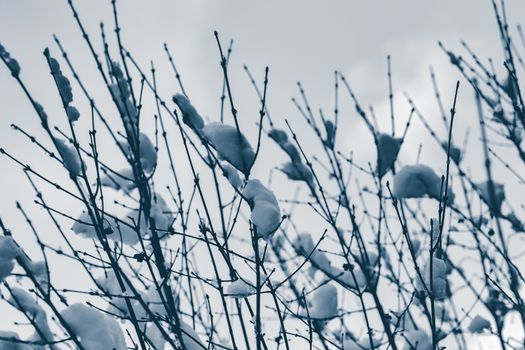 Cold winter snowy landscape at middle of the day. Monochrome