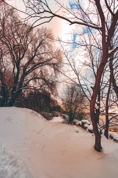 Cold winter snowy landscape at middle of the day