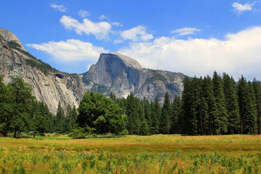 Yosemite National Park in California. United States of America
