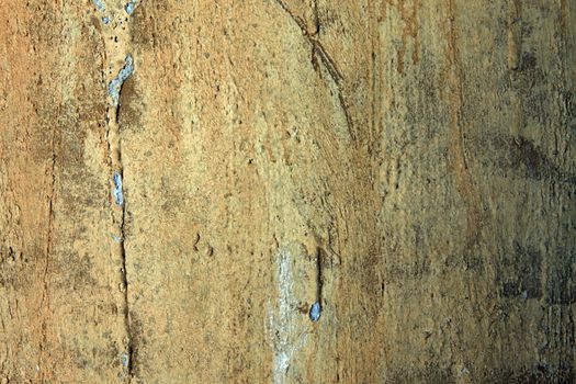 Full screen high resolution shot of old wall. Good for a texture or a background.